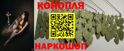 прущие грибы Малоярославец