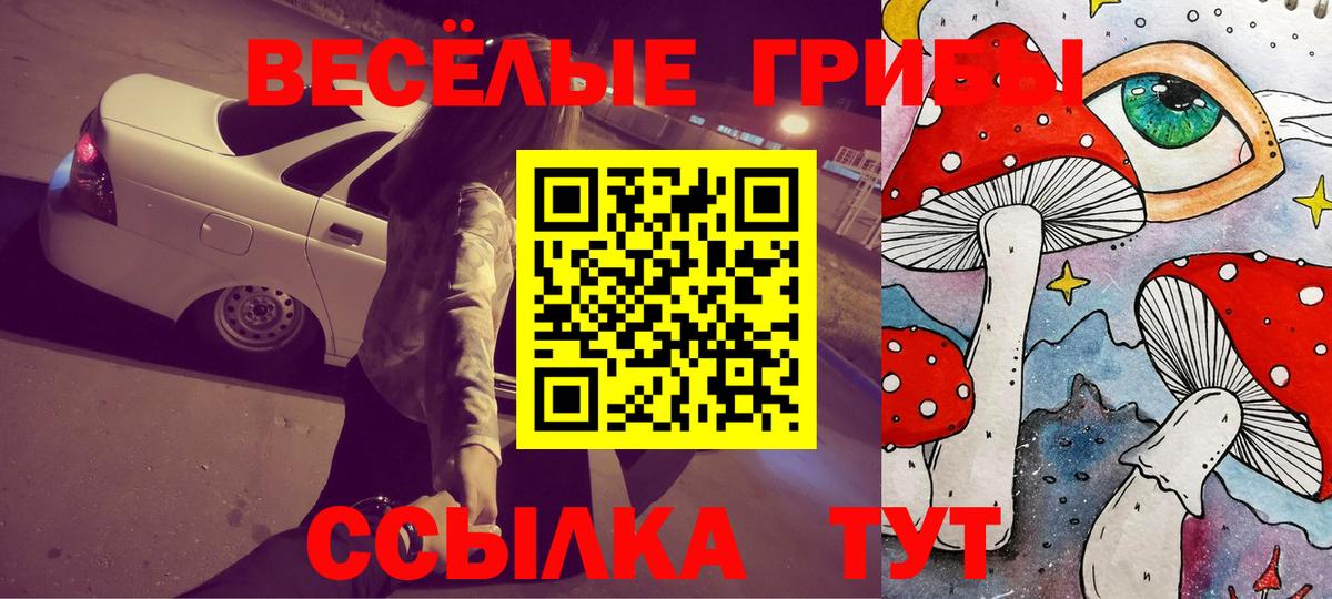 Еманжелинск  Галлюциногенные грибы MAGIC MUSHROOMS  наркошоп  Вход с VPN  Псилоцибиновые грибы Cubensis 