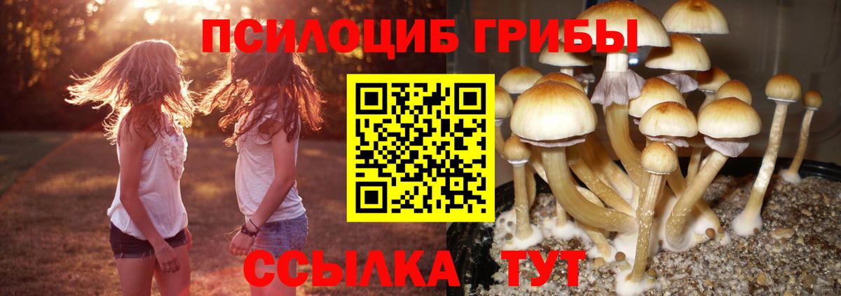 Галлюциногенные грибы GOLDEN TEACHER Еманжелинск