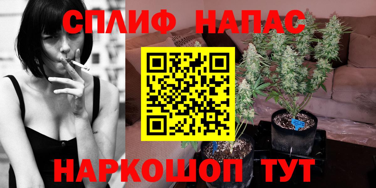 Шишки марихуана тримм  Шишки марихуана план  Каннабис Bruce Banner  Еманжелинск  Вход с VPN 